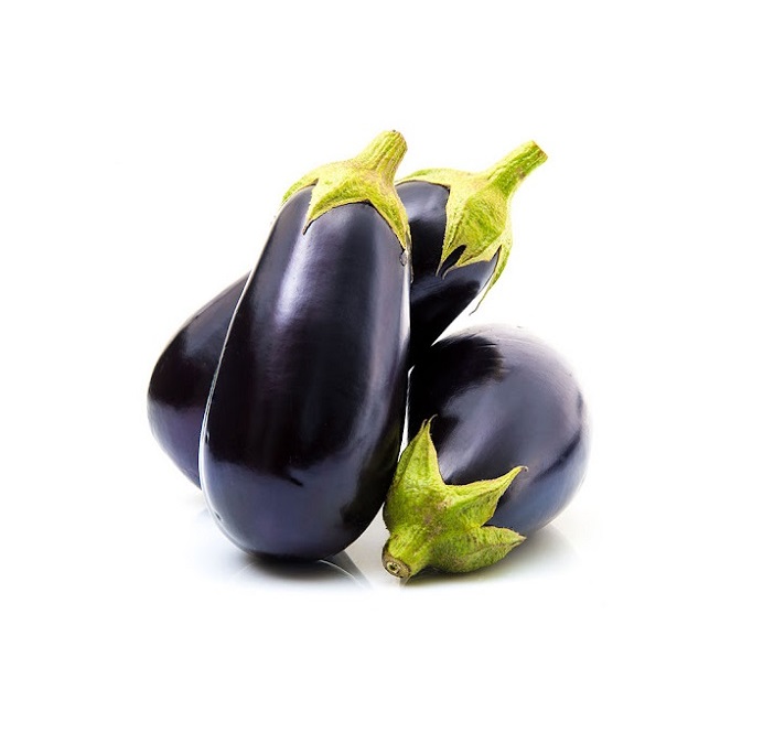 Round Eggplant Seedling