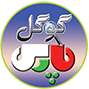 GooglePars (گوگل پارس)