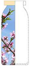 25mm Aluminum Bottle (Bottle Finish 20mm)