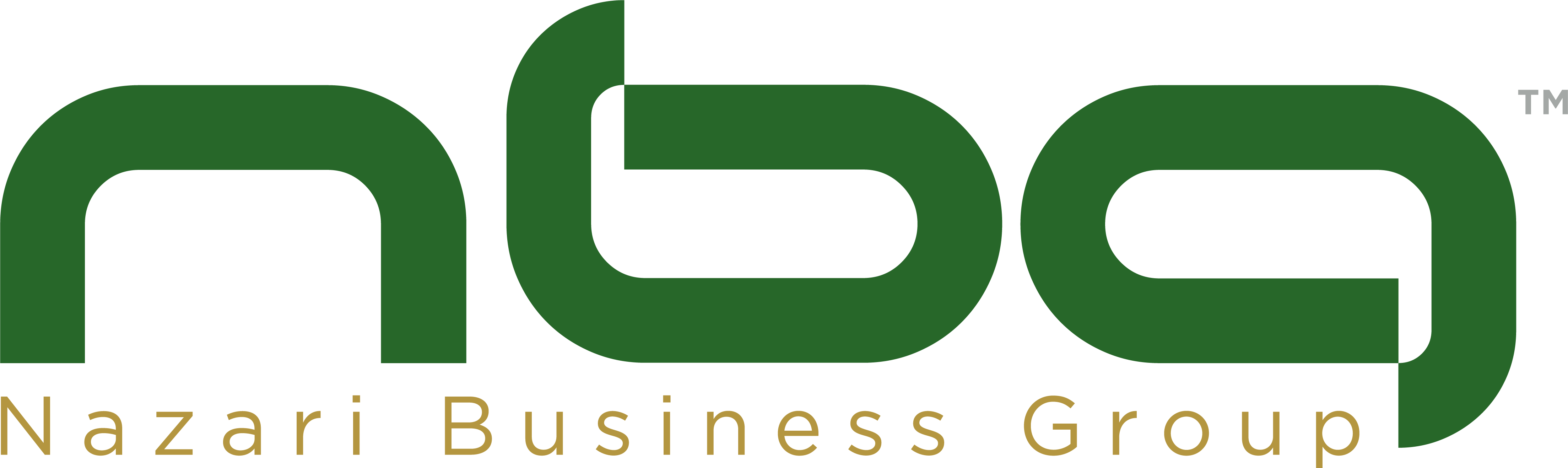 Nazari Business Group (گروه کسب و کار نظری)