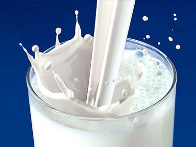 Milk Clarifier
