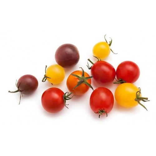 Colored Cherry Tomato Seedling