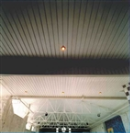 Branch-Type Ecoplast Ceilings