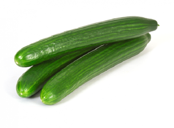 Cucumber Seedling