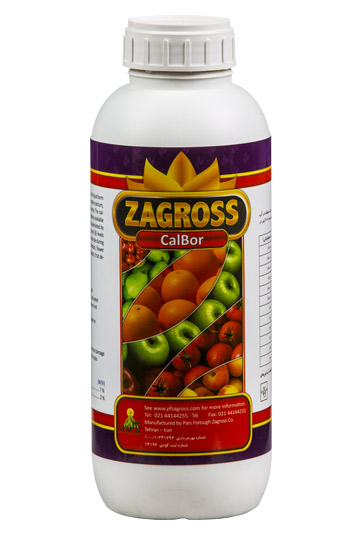 Cal Bor Zagros
