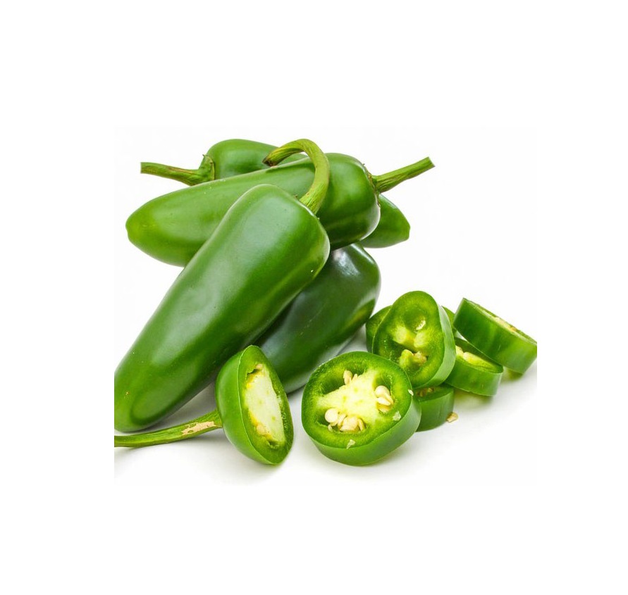 Hamedani Green Pepper Seedling