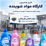 Feasibility Study for Detergent Production