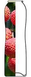 45mm Aluminum Bottle