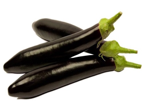 Japanese Pointed Eggplant Seedling