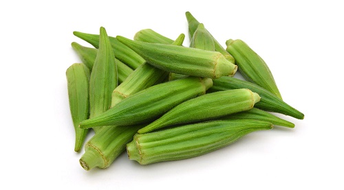 Okra Seedling