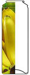45mm Aluminum Bottle