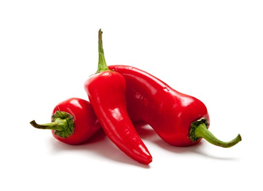 Turkey Capia Pepper Seedling