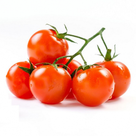 Red Cherry Tomato Seedling