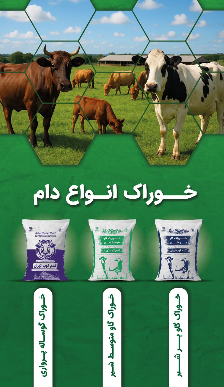 Corn Concentrate