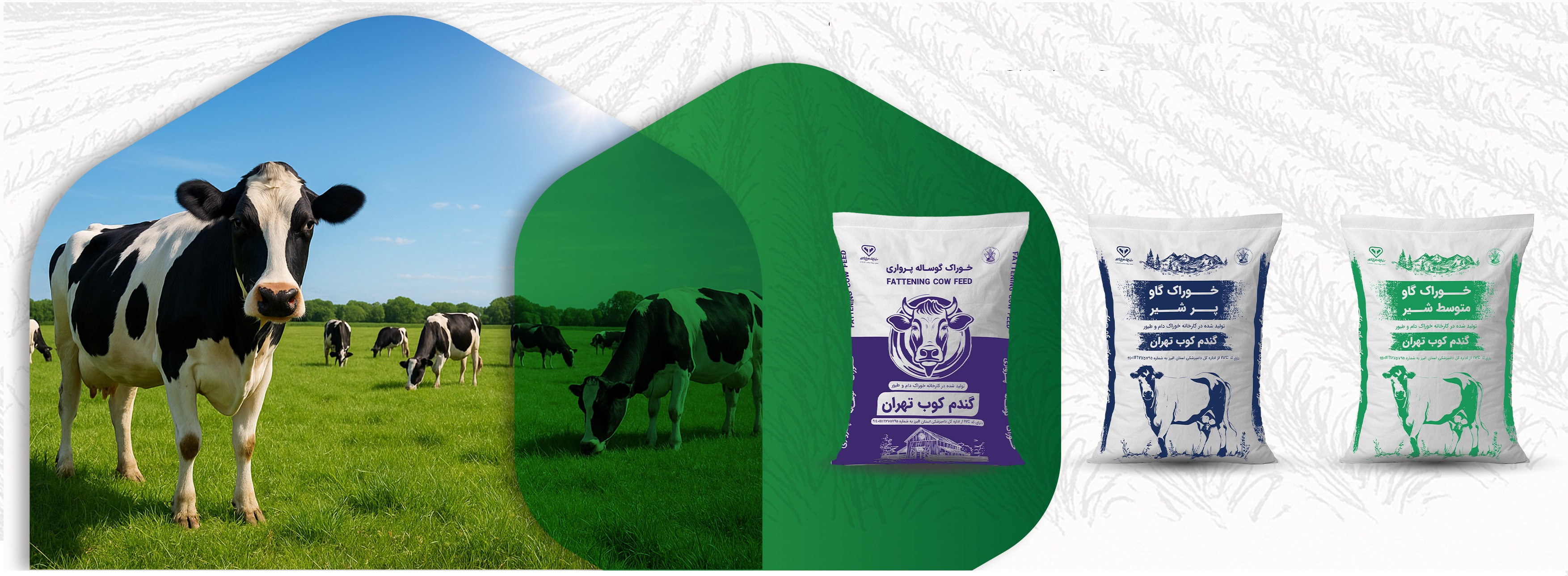 Dense Livestock Feed (Concentrate)