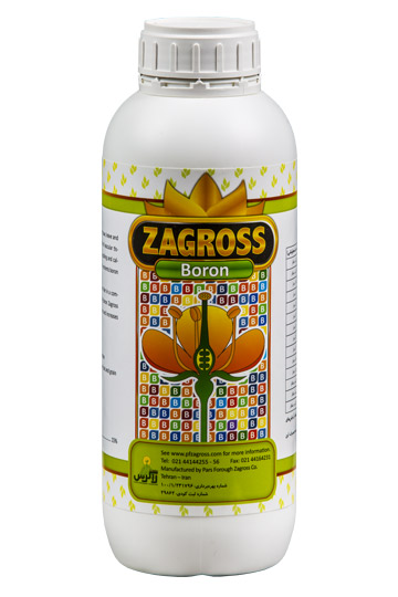 Boron Zagros