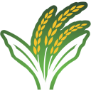 Rustaland (روستالند)