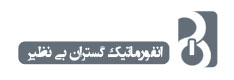 Binazir Group (گروه بی نظیر)