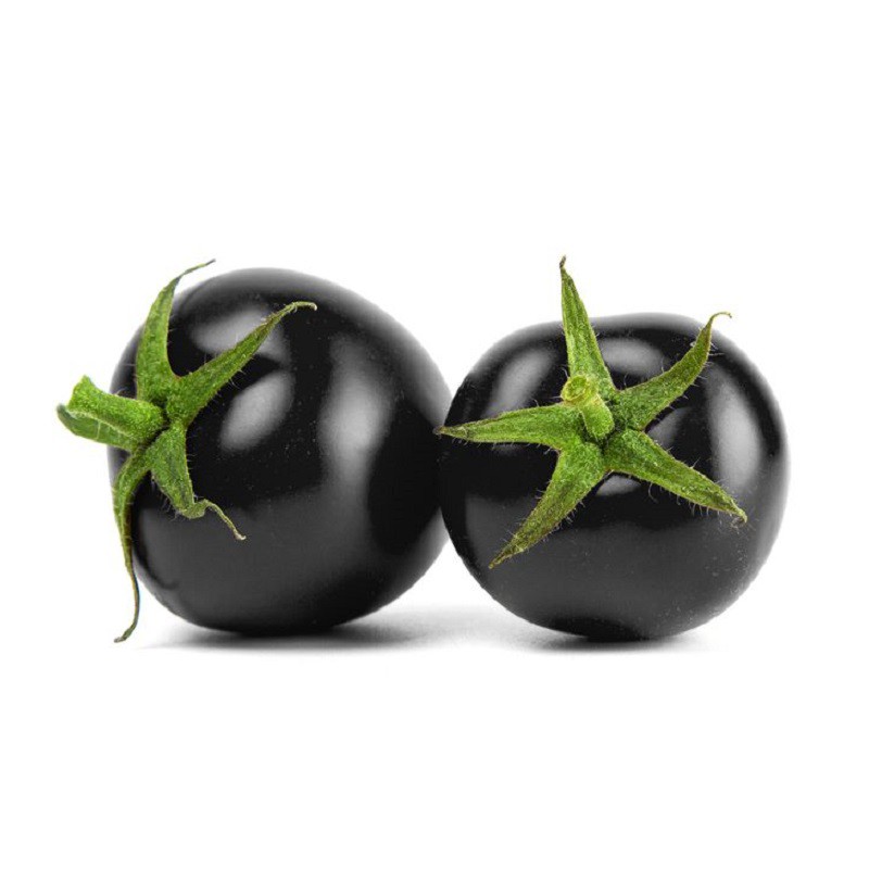 Black Cherry Tomato Seedling