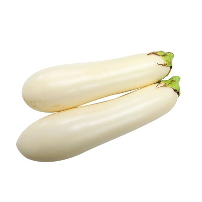 White Pointed Eggplant Seedling